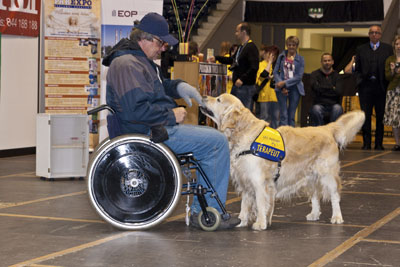 Foto z akce