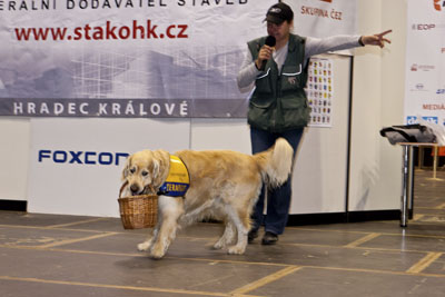 Foto z akce